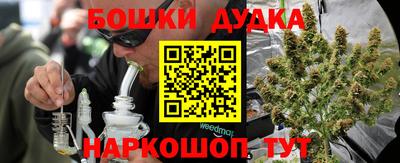 крисы Кунгур