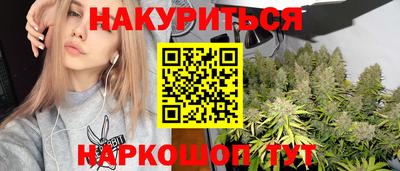 крисы Кунгур