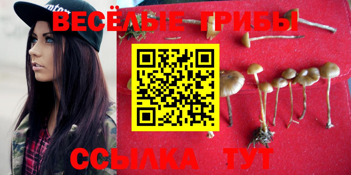 Галлюциногенные грибы MAGIC MUSHROOMS Шатура