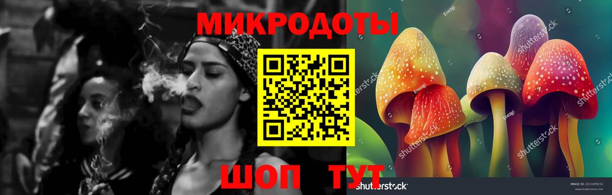Шатура  Галлюциногенные грибы Psilocybine cubensis  Вход с VPN 